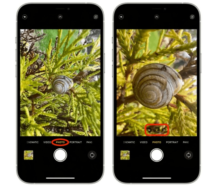 iPhone  微距拍摄方法